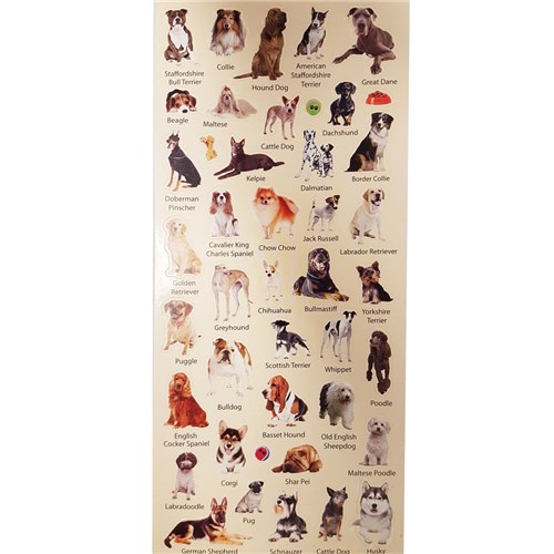 Tim The Toyman Dogs Favourite Breeds Sticker Book 150+ Stickers/ 4 Sheets_1 - Theodist