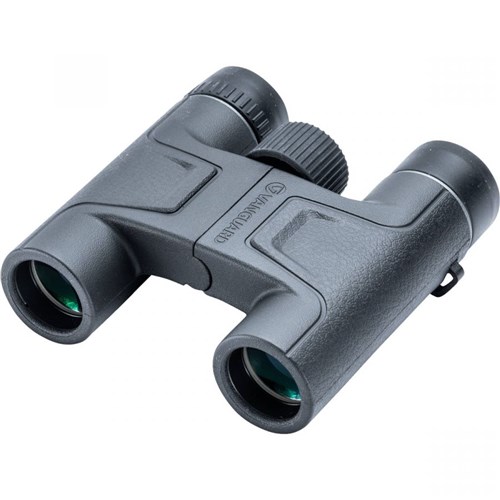  Vanguard Binoculars Vesta 10x25 - Theodist 