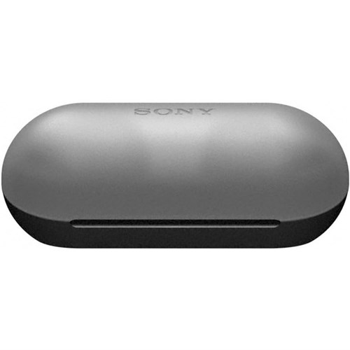Sony WF-C500 Truly Wireless Earbuds Black WFC500BLK_2 - Theodist