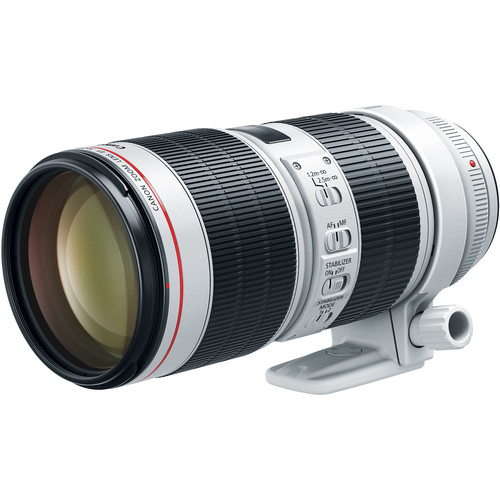 Canon EF 70-200mm f/2.8L IS III USM Lens - Theodist - Theodist