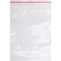 DataMax 5250 MiniGrip Resealable Bags 230x305mm 100 Pack - Theodist