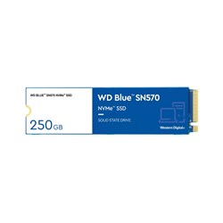 Western Digital WDS100T3B0C 1TB WD Blue SN570 NVME Internal SSD - Theodist