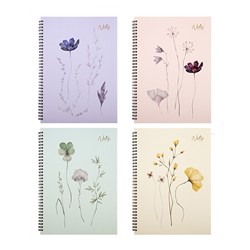 Dats A4 Spiral Notebook 120 Pages 70GSM Ruled Lines 71518 - Theodist