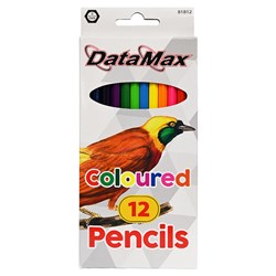 DataMax 81812 Coloured Pencils 12 Pack - Theodist