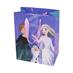 Artwrap E6982 Disney Frozen 2 Medium Gift Bag - Theodist