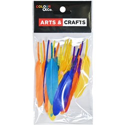 Colour & Co. FEA002 Feather Assorted Coulours, 8-12cm, 25 Pack - Theodist