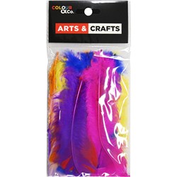 Colour & Co. FEA004 Feathers Assorted Colours, 15-20cm, 25 Pack - Theodist