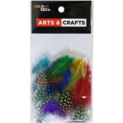 Colour & Co. FEA005 Feathers Assorted Colours 5-10cm, 25 Pack - Theodist