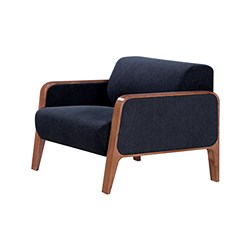 Sofa FZ61121 Black Fabric Solid Wood Armrests and Legs 1 Seater - Theodist