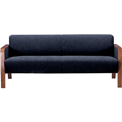 Sofa FZ61123 Black Fabric Solid Wood Armrests and Legs 3 Seater - Theodist