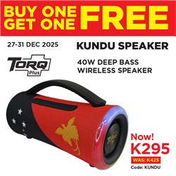 Torq Plus KUNDU 40W Deep Bass Wireless Speaker 50 Years Special Edition_22 - Theodist