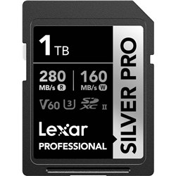 Lexar SDXC UHS-II 1TB Silver Pro Memory Card 280MBs(R) 160MBs(W), 843367131730 - Theodist