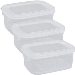Pace P8191 Snack Box 3-Pack 500mL On The Go Food Storage - Theodist