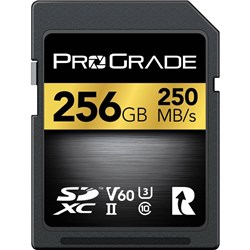 ProGrade 256GB 250MB/S UHS-II V60 SDXC Memory Card Gold PGSD256GBKNA - Theodist