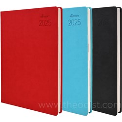 Regent REG551ASSTD 2024 A5 Diary Day to Page - Theodist