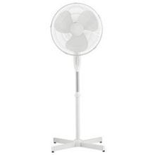 Fans
