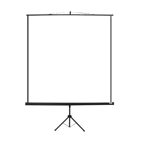 Projector Screen with Tripod - 2400X2400mm - Theodist