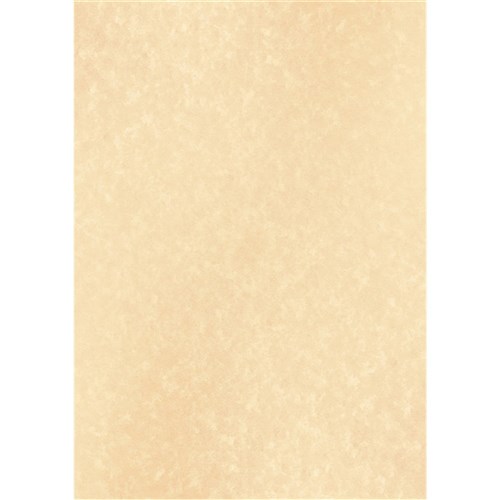 DataMax 900115 A4 90GSM Parchment Paper 25 Pieces Light Brown - Theodist