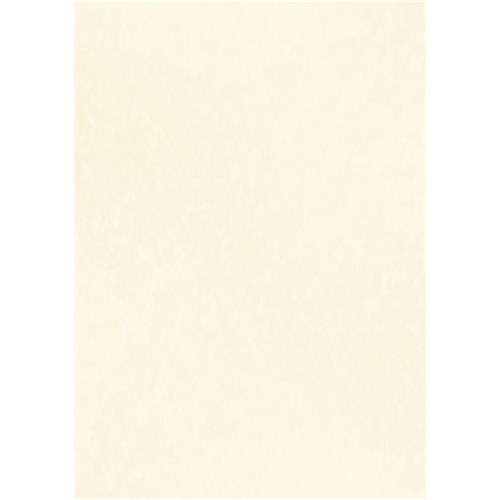 DataMax 900116 A4 90GSM Parchment Paper 25 Pieces Milk White - Theodist