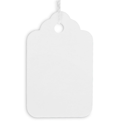 Strung Tags Merchandise Tags 23 x 37mm Tie Box 100 - Theodist