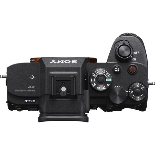 Sony Alpha 7S III with pro movie/still capability (Body Only)_4 - Theodist