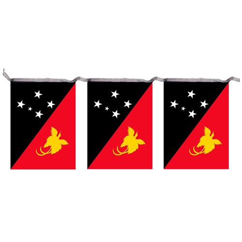 Bunting PNG Flag 7m