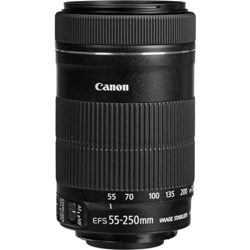 Canon EF-S 55-250mm f/4-5.6 IS STM Lens_1 - Theodist
