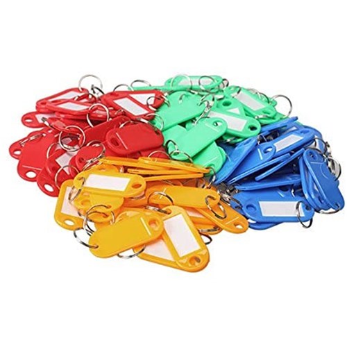 Plastic Key Tags ID Label Keyring with Key Chain Tag Card Split Ring Tub of 100