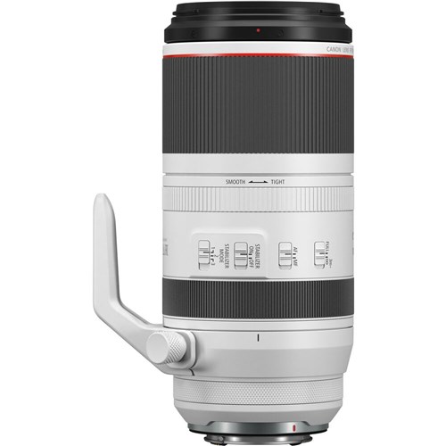 Canon RF 100-500mm f/4.5-7.1L IS USM Lens_4 - Theodist