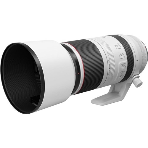 Canon RF 100-500mm f/4.5-7.1L IS USM Lens_5 - Theodist