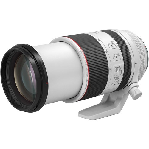 Canon RF 70-200mm f/2.8L IS USM Lens_2 - Theodist