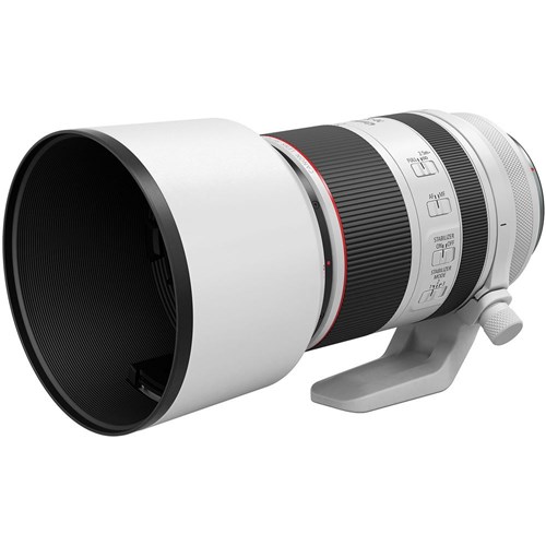Canon RF 70-200mm f/2.8L IS USM Lens_3 - Theodist