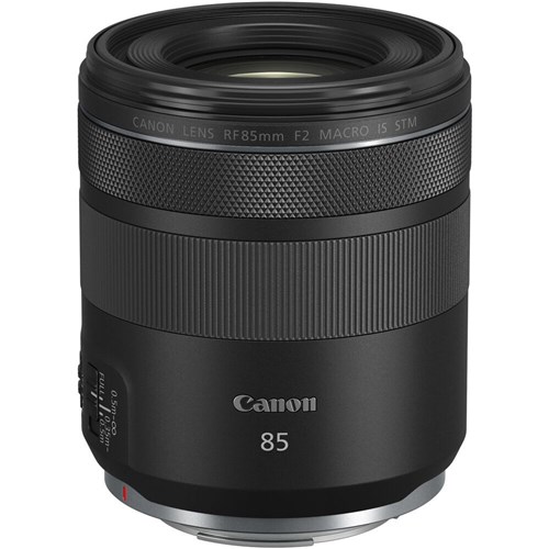 Canon RF 85mm f/2 Macro IS STM Lens - Theodist
